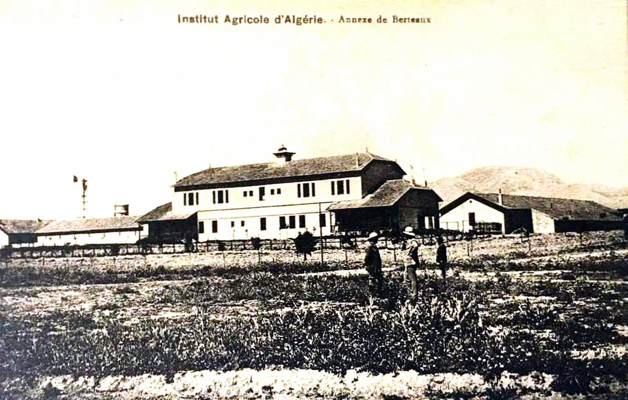 Berteaux - Institut Agricole d'Algerie.jpg